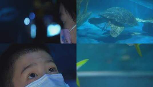 6746 水族馆 动物 海洋馆 海底世界 孩子高清在线视频素材下载