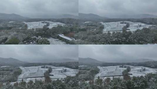 杨梅岭雪景航拍高清在线视频素材下载