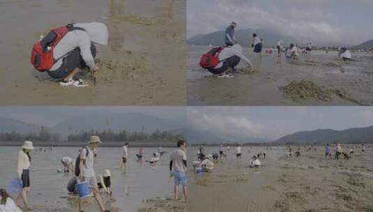 广东深圳大鹏半岛教场尾沙滩赶海高清在线视频素材下载