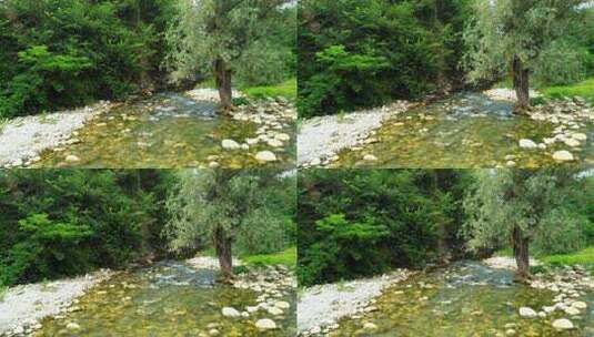 美丽的溪流高清在线视频素材下载