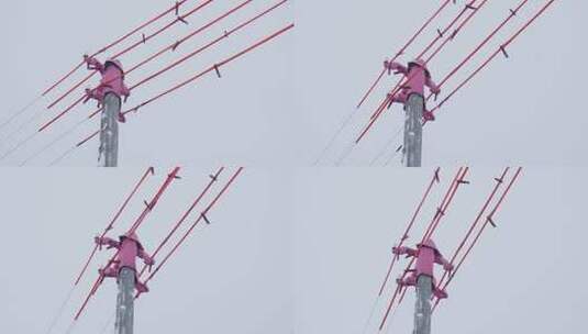 粉色材料的电线杆顶和电缆高清在线视频素材下载