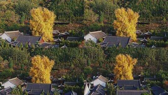 陕西西安古观音禅寺秋景高清在线视频素材下载