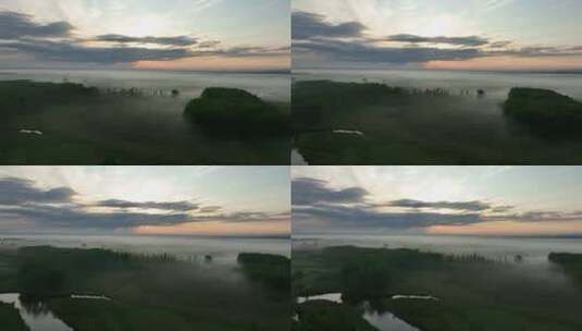 航拍湿地晨雾缭绕树林隐约再现高清在线视频素材下载