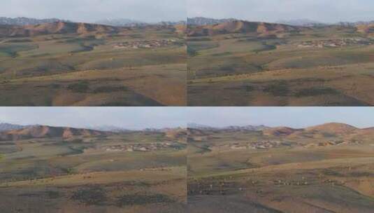4K航拍新疆阿勒泰萨尔布拉克草原夕阳羊群高清在线视频素材下载
