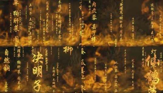 中医火焰燃烧药材名字中国医学火焰文字穿梭高清在线视频素材下载
