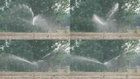 农田灌溉高清在线视频素材下载