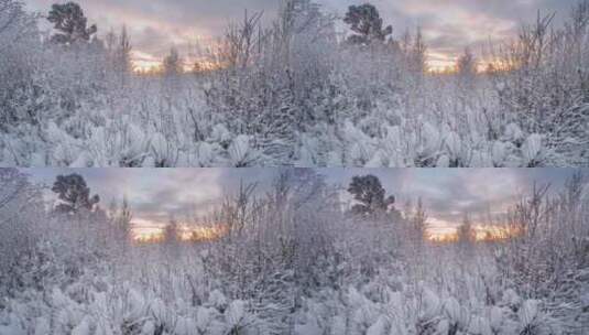 清晨雪景日出唯美自然风光高清在线视频素材下载