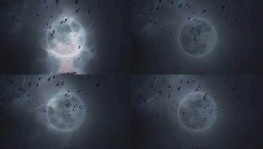 鸟群飞过电闪雷鸣背景下的月亮高清在线视频素材下载