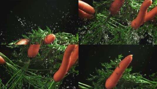 一排带有水滴的胡萝卜高清在线视频素材下载