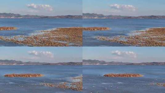 贵州威宁草海风景风光高清在线视频素材下载