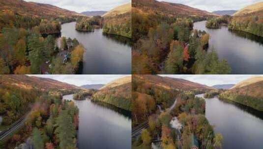 4k风景秋天森林里的道路与河流高清在线视频素材下载