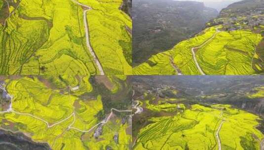 合集组镜湖北春天大山绝壁油菜花花海航拍高清在线视频素材下载