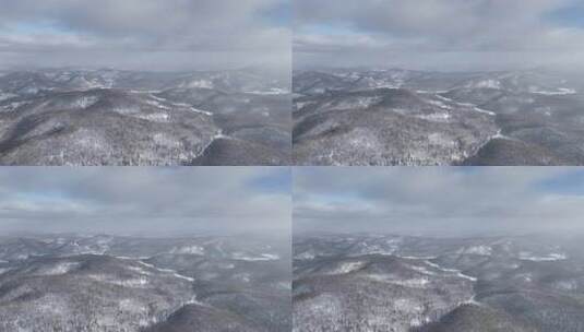 冷空气迷漫的寒冬山林雪景高清在线视频素材下载