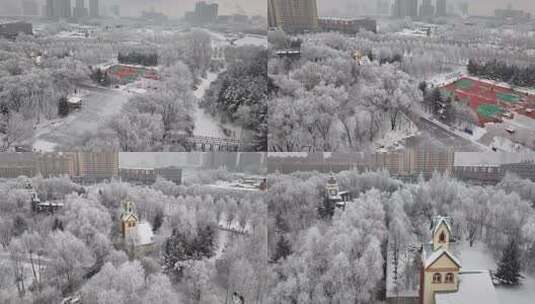 冰雪覆盖树木的冬季雪景航拍画面高清在线视频素材下载