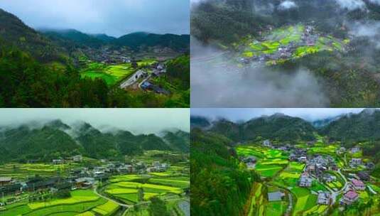 春天云雾缭绕的油菜田村落风光航拍高清在线视频素材下载