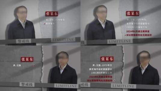 纪检纪委 反腐 警示教育 嫌疑人介绍高清AE视频素材下载