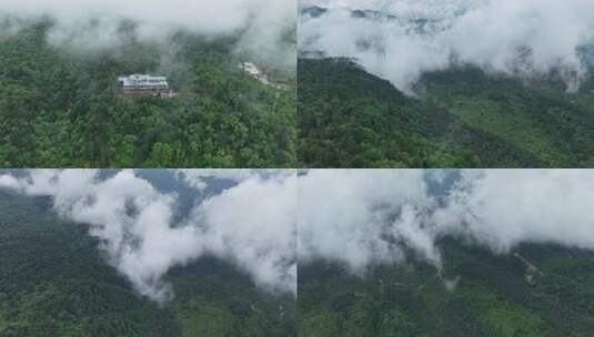 川西王岗坪景区航拍云海雪山壮丽风光高清在线视频素材下载