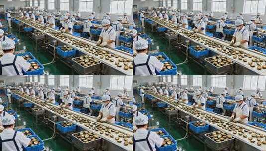 工厂工人进行海鲜分拣作业高清在线视频素材下载