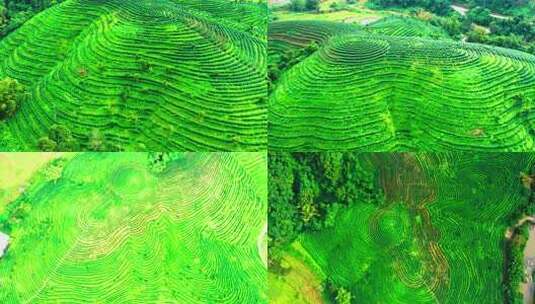 海南五指山梯田航拍高清在线视频素材下载