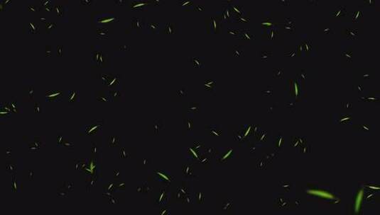 竹叶飘落带通道高清在线视频素材下载