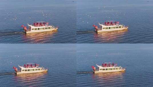 航拍滇池游船与海鸥高清在线视频素材下载