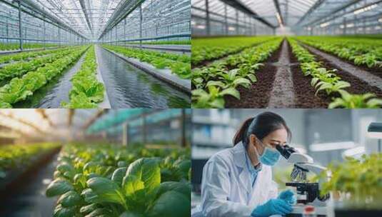 智慧农业现代科技农业大棚高清在线视频素材下载