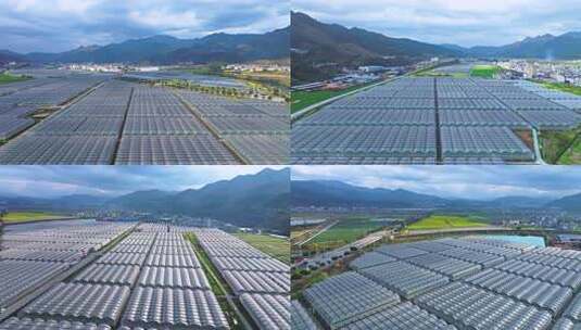 航拍蔬菜大棚农业景观高清在线视频素材下载