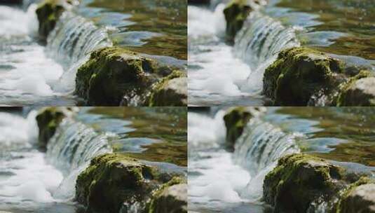 四川小暑溪流青苔清新自然特写视频高清在线视频素材下载