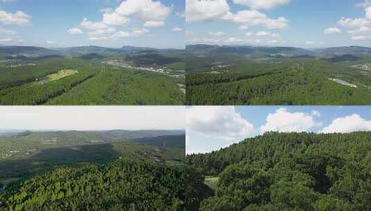 广元剑阁古蜀道古柏晴朗的翠云廊航拍素材高清在线视频素材下载