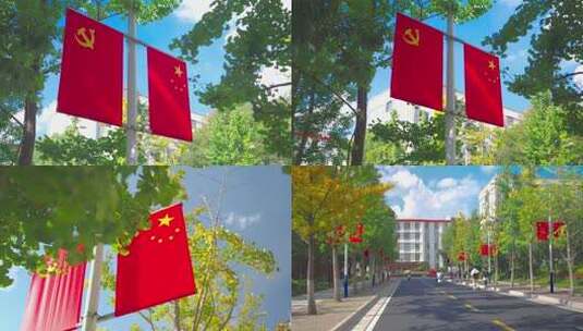 实拍道路边悬挂国旗高清在线视频素材下载