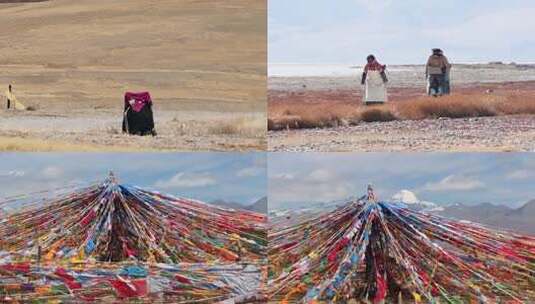 朝圣去拉萨藏族文化宗教信仰高清在线视频素材下载