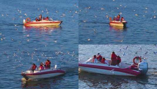 航拍滇池游船与海鸥高清在线视频素材下载