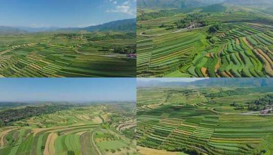 航拍梯田田园风光美景高清在线视频素材下载