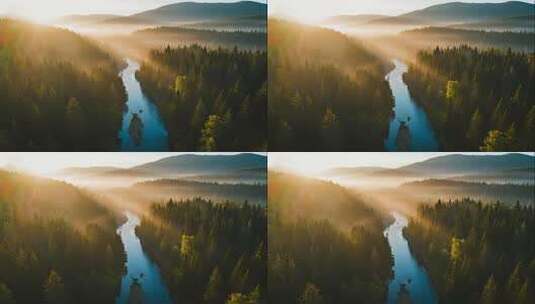 重阳节晨雾森林河流唯美治愈风光视频高清在线视频素材下载
