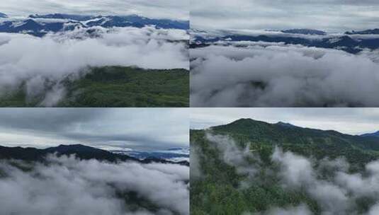 川西王岗坪景区航拍云海雪山壮丽风光高清在线视频素材下载