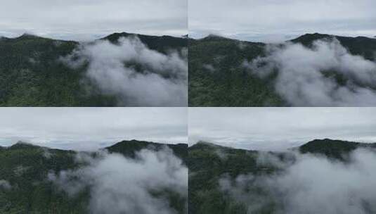 川西王岗坪景区航拍云海雪山壮丽风光高清在线视频素材下载