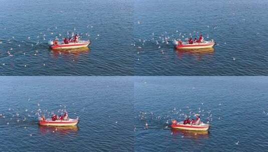 航拍滇池游船与海鸥高清在线视频素材下载