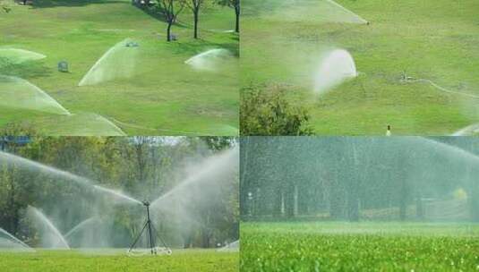 园林绿化草坪洒水器自动喷水灌溉绿茵水幕高清在线视频素材下载