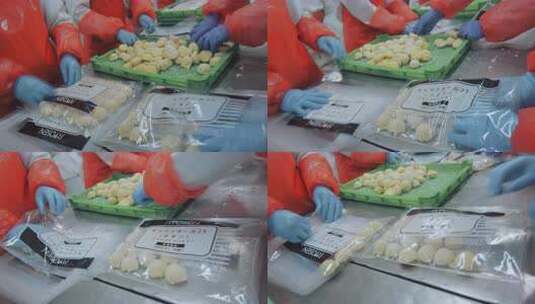 海参加工生产线工人在流水线上处理海鲜制品高清在线视频素材下载