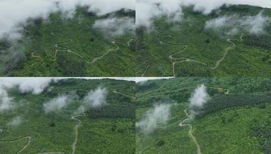 川西王岗坪景区航拍云海雪山壮丽风光高清在线视频素材下载