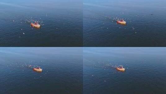 航拍滇池游船与海鸥高清在线视频素材下载