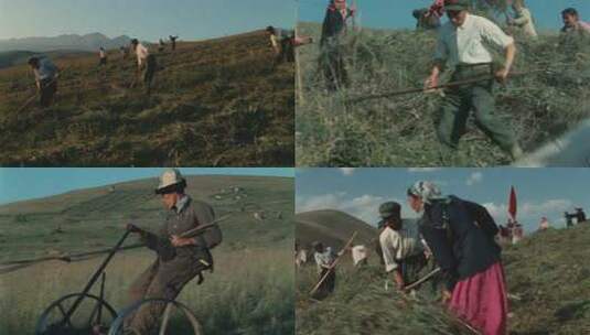 70年代新疆戍边解放军与群众同劳动高清在线视频素材下载