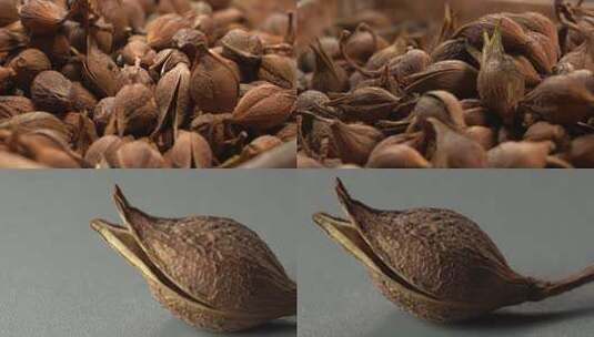 中药连翘007高清在线视频素材下载