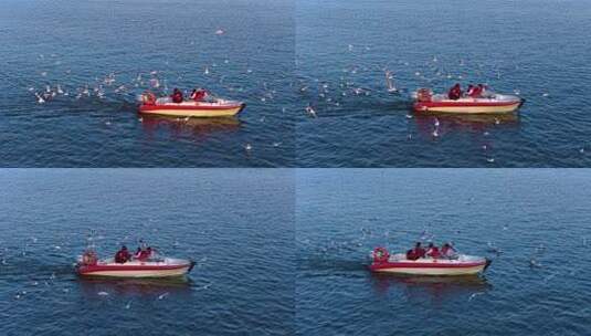 航拍滇池游船与海鸥高清在线视频素材下载