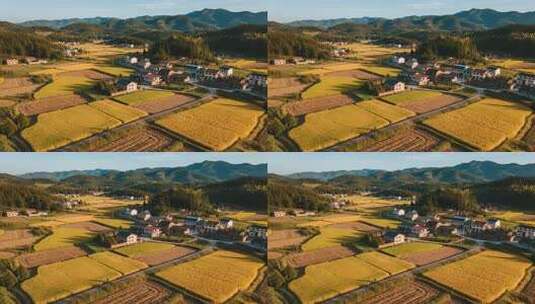 贵州乡村稻田秋分丰收航拍美丽乡村视频高清在线视频素材下载