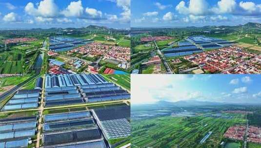 大棚种植高清在线视频素材下载