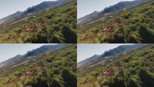 FPV穿越机无人机航拍森林公路山脉蓝天白云高清在线视频素材下载