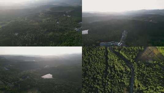 广元剑阁古蜀道古柏夕阳下的翠云廊航拍素材高清在线视频素材下载