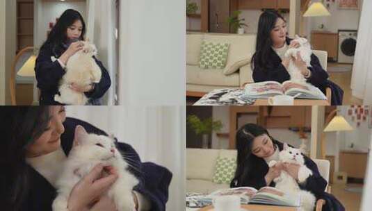 小猫宠物猫咪撸猫高清在线视频素材下载