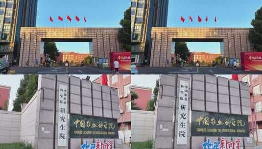 中国农业科学院高清在线视频素材下载